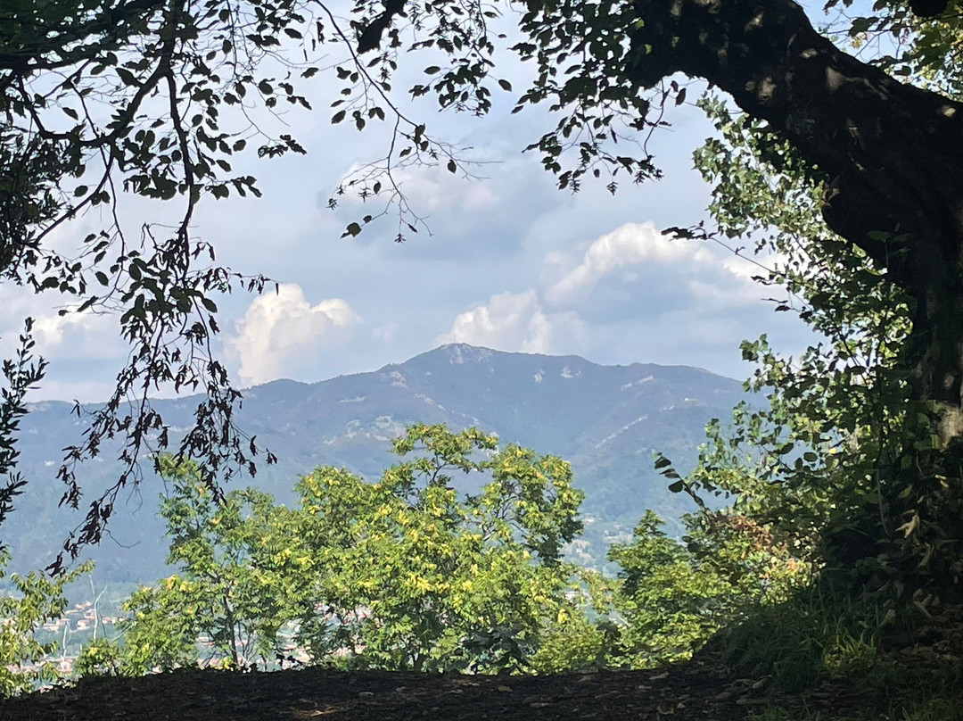 贝加莫上城区-贝加莫必去景点