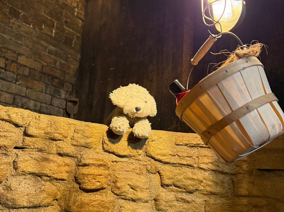 Buffalo Bill's House主图