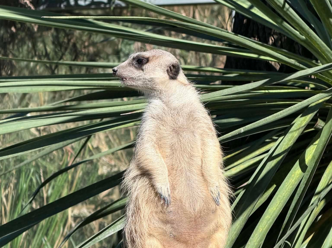 Wings Wildlife Park-Gunns Plains必去景点