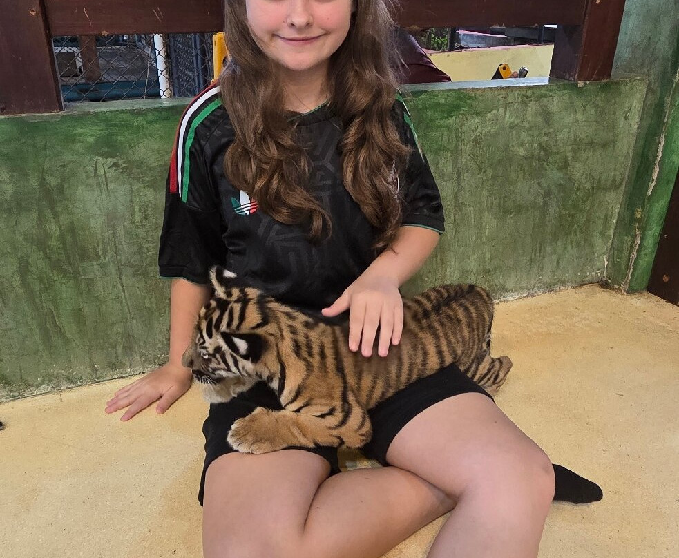 Tiger Kingdom Phuket-卡图必去景点