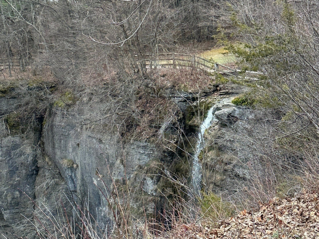 Thacher State Park-Voorheesville必去景点