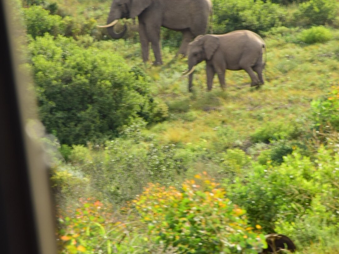 Botlierskop Private Game Reserve-莫塞尔贝必去景点