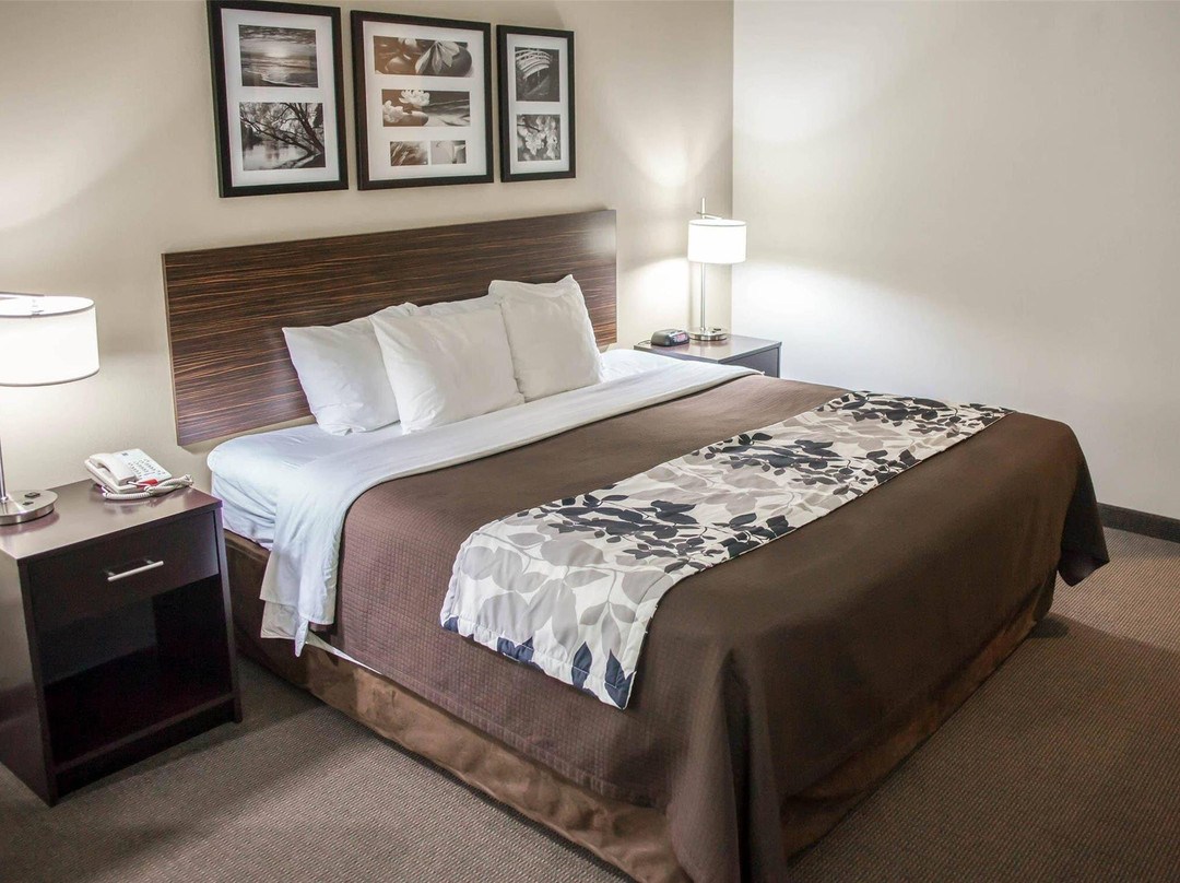 Lawson酒店住宿-Sleep Inn & Suites Indoor Waterpark