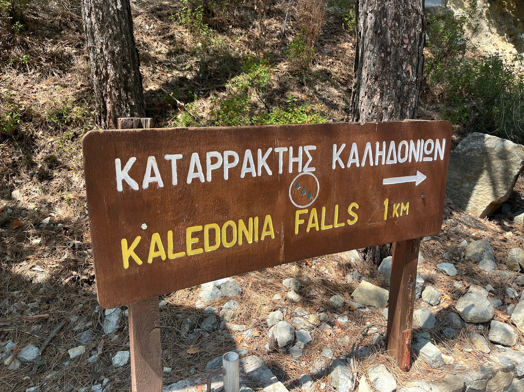 Caledonia Waterfall-帕拉翠斯必去景点