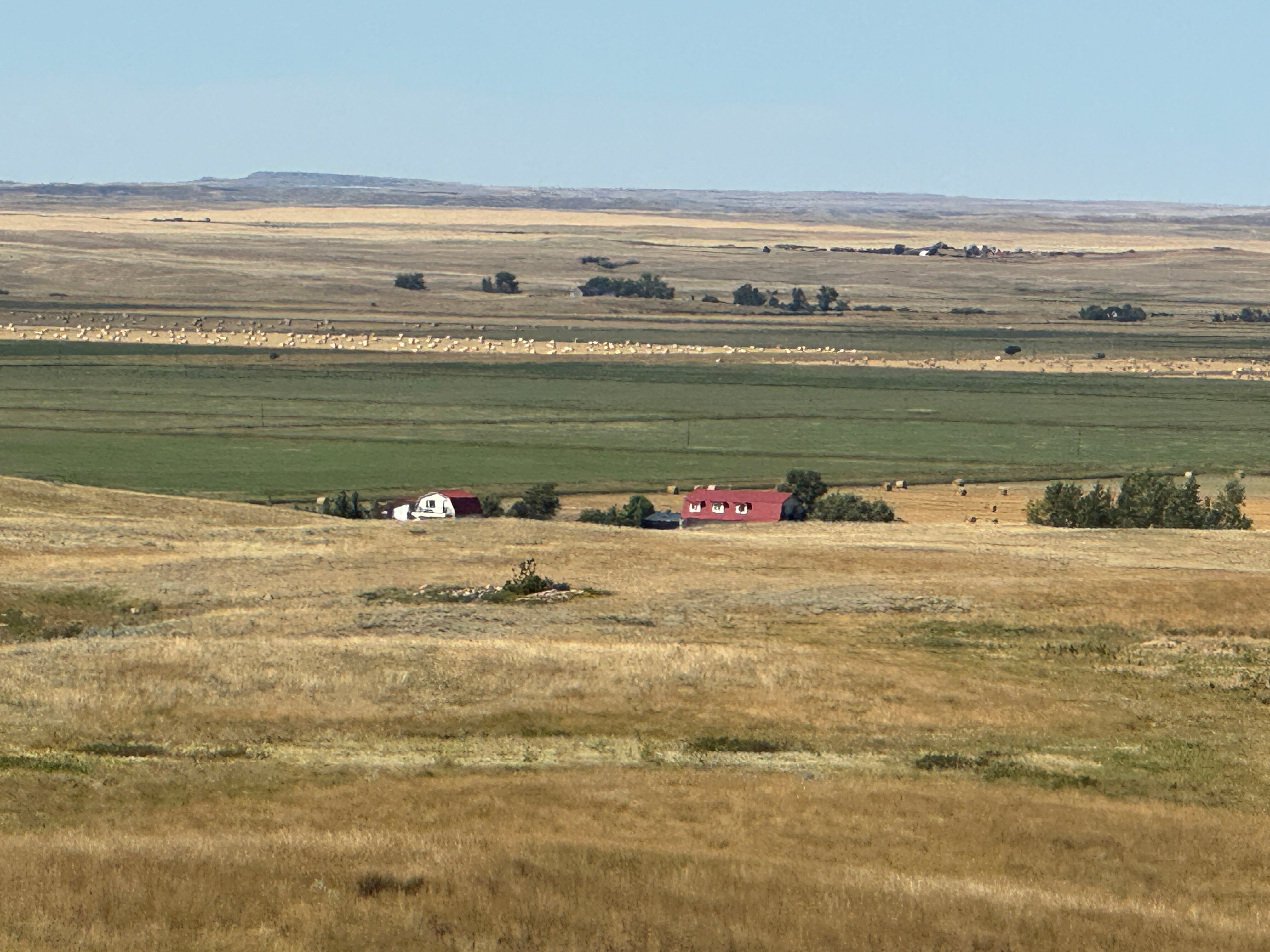 The Crossing at Grasslands-旅行者