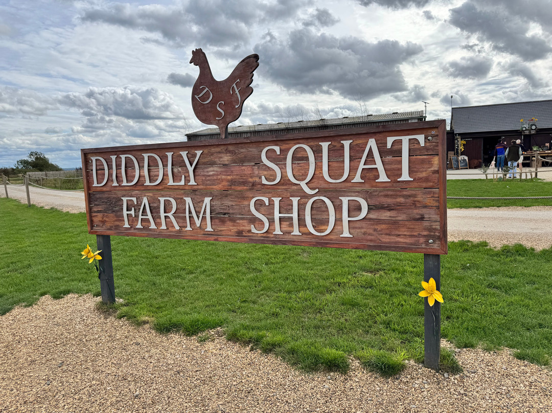 Diddly Squat Farm Shop-奇平诺顿必去景点