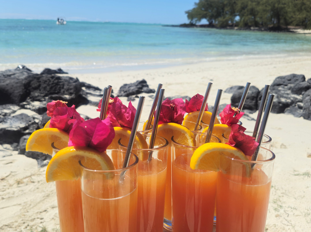 Paradisio Excursions Ile Maurice-大湾必去景点