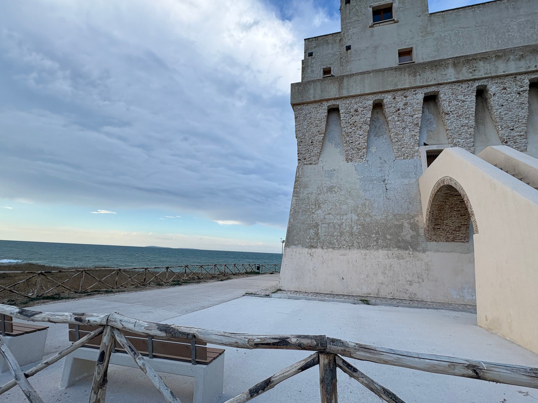 Spiaggia di Torre Mileto-San Nicandro Garganico必去景点