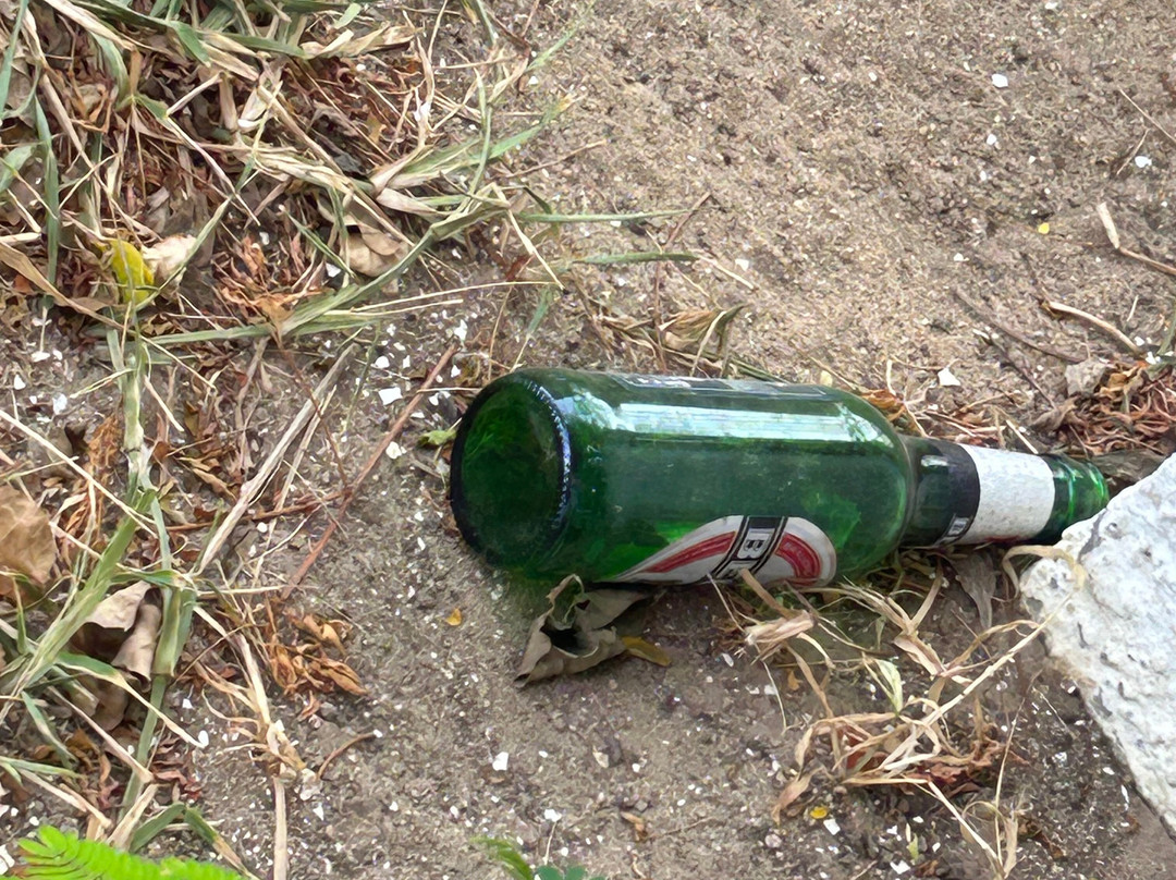 哈玛麦德内斯瑞尼酒店主图