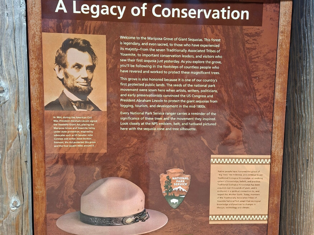 Mariposa Grove of Giant Sequoias-优胜美地国家公园必去景点