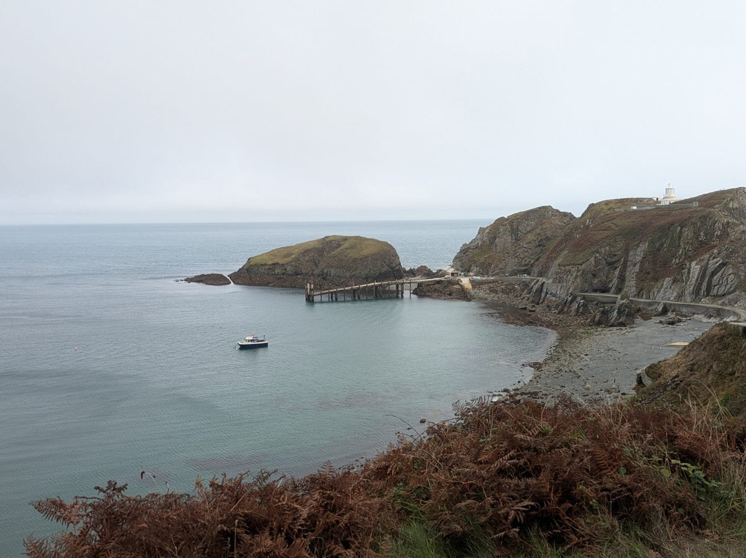 Lundy Island-比迪福德必去景点