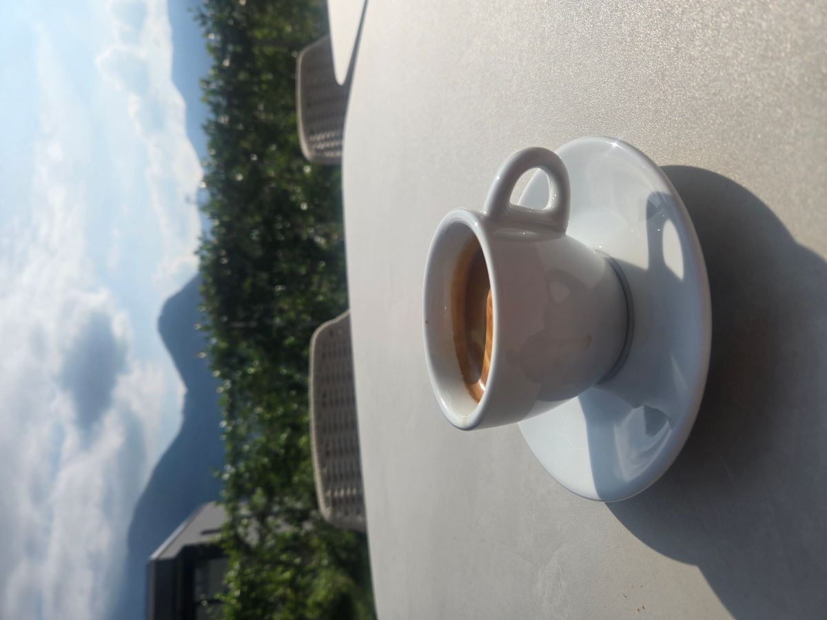 苏黎世旗帜酒店-旅行者