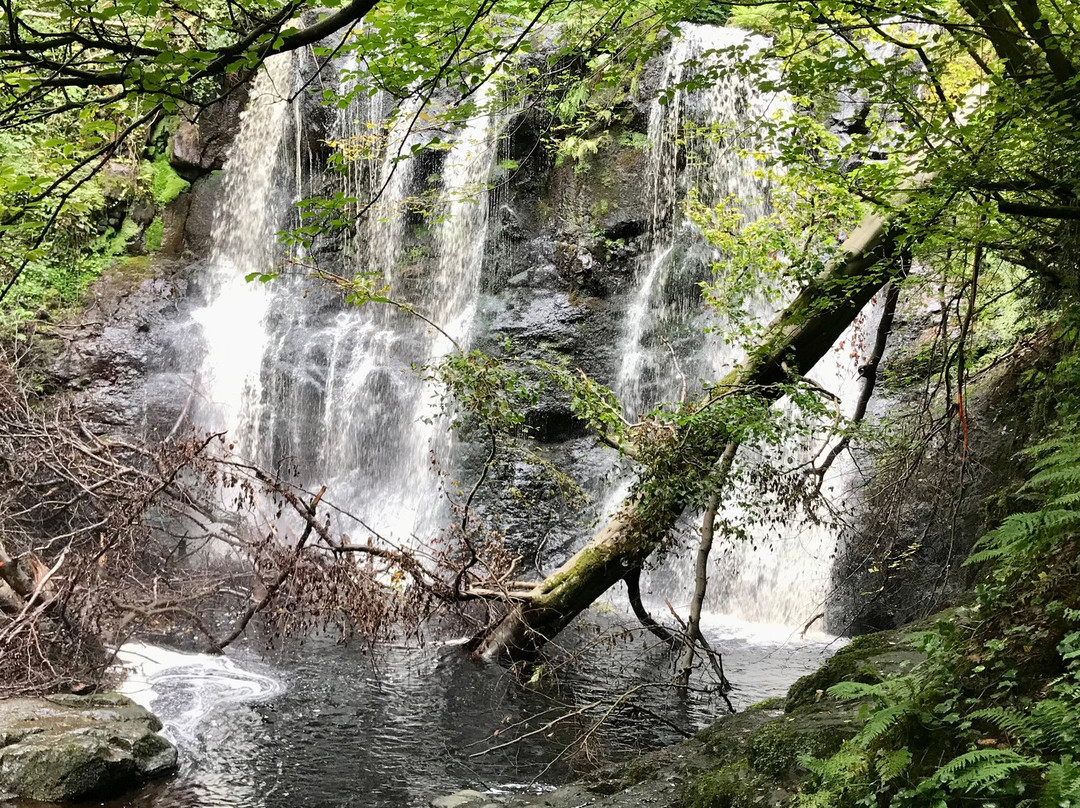Glenariff Forest Park Caravan Park-Glenariff必去景点
