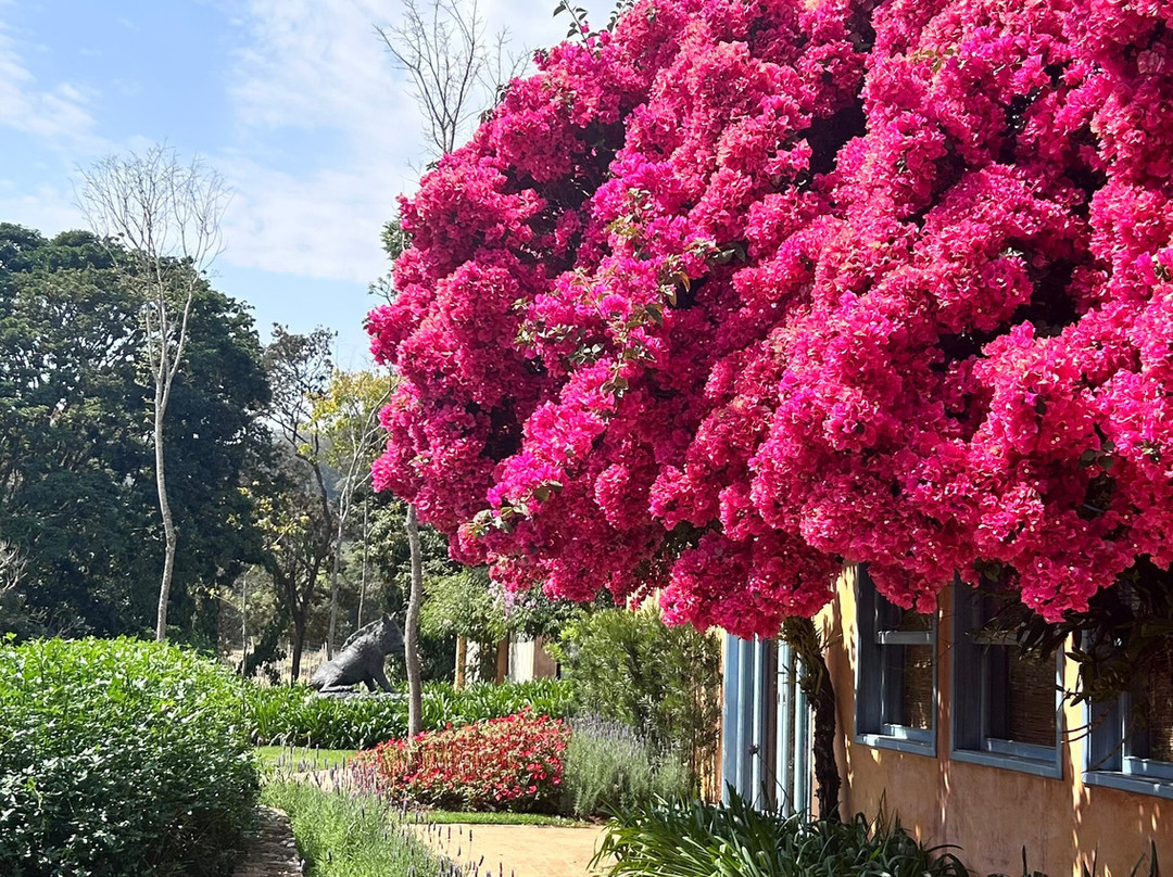 Vinícola Guaspari-Espirito Santo Do Pinhal必去景点