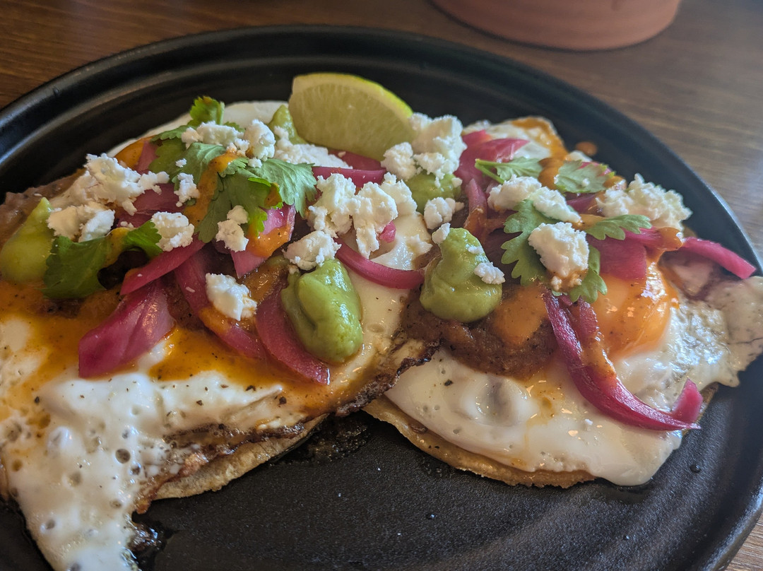 Tacito