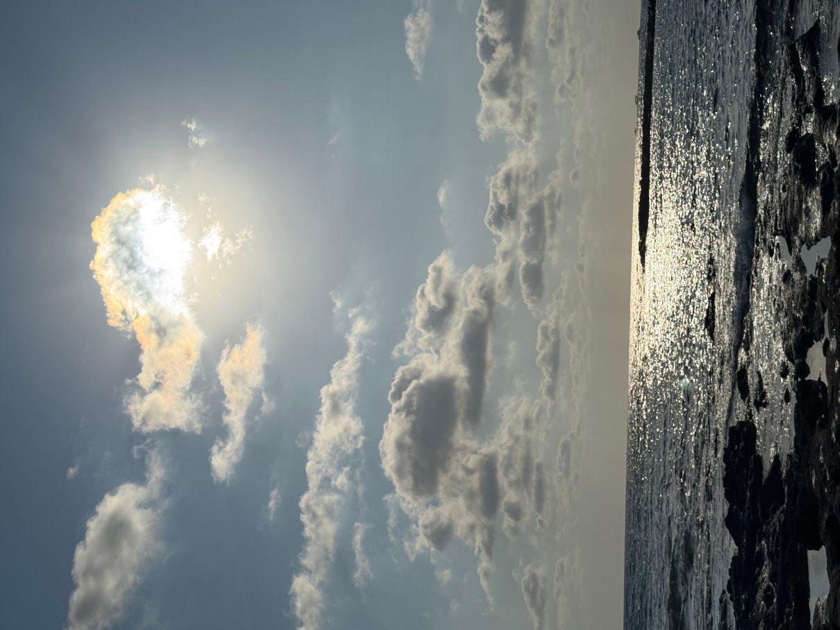 Constantinou Bros Pioneer Beach Hotel-旅行者