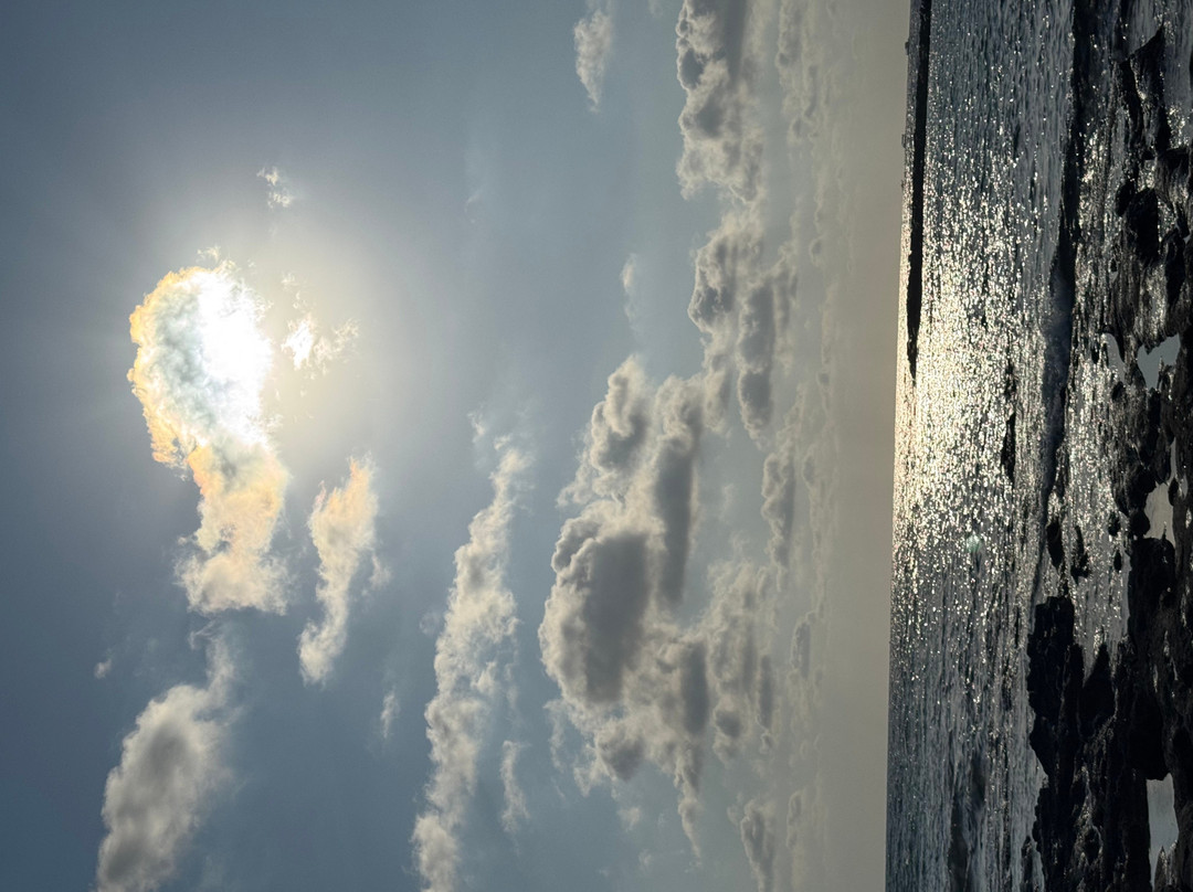 Constantinou Bros Pioneer Beach Hotel主图