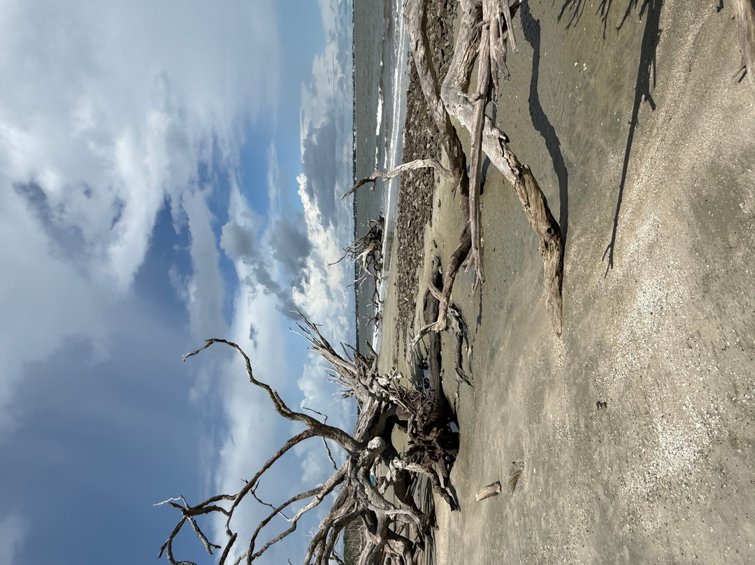 Jekyll Island-吉柯岛必去景点