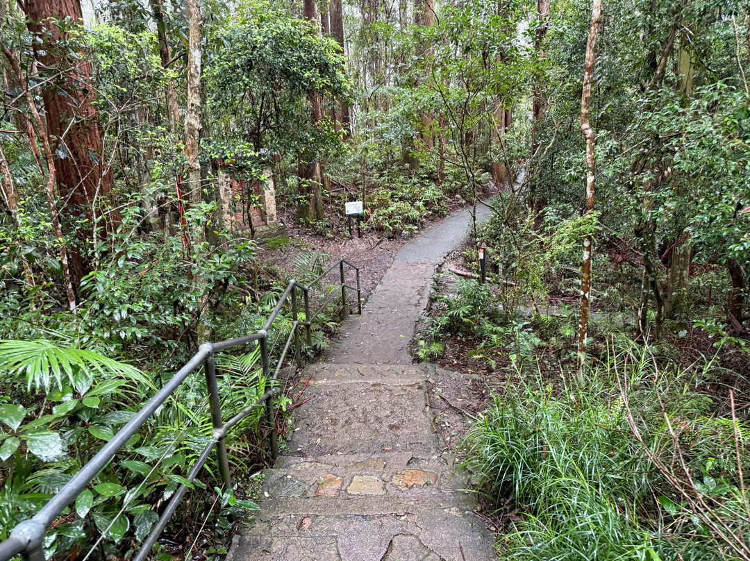 Purling Brook Falls-春之泉必去景点