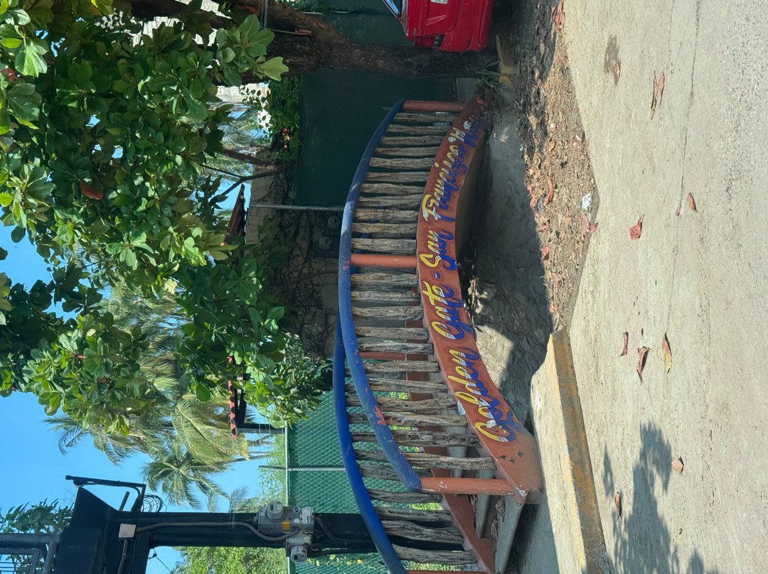 Vallarta Adventures-新瓦雅塔必去景点