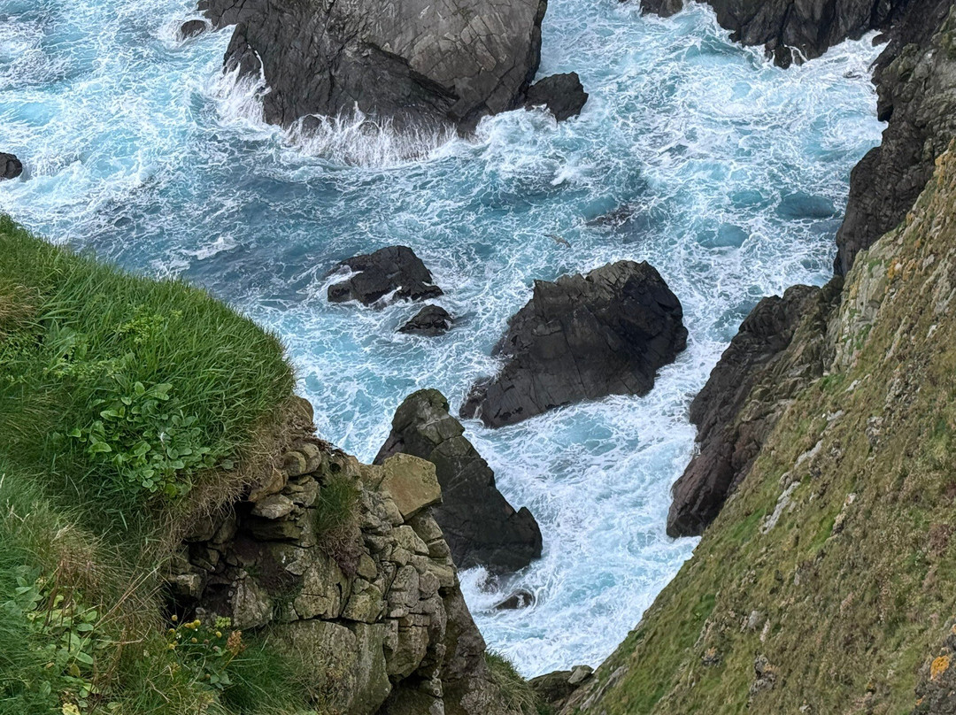 Lerwick Brewery-Lerwick必去景点