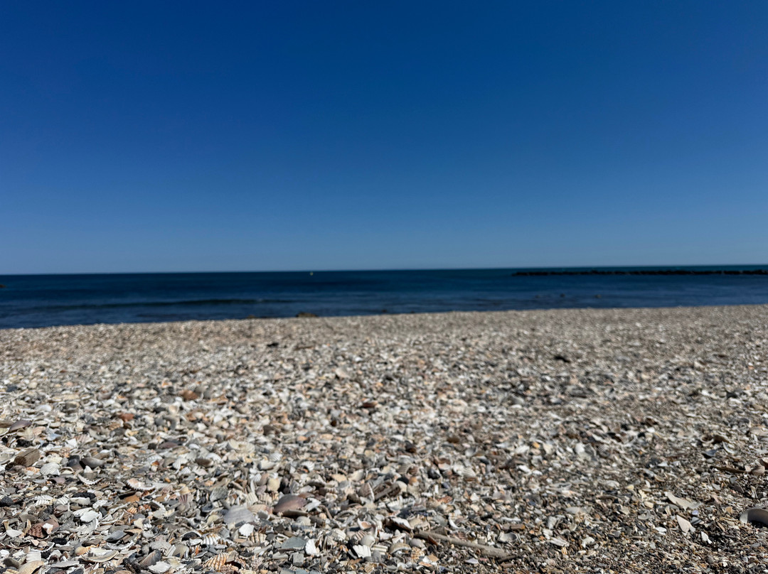 Plage de la Roquille-Cap-d'Agde必去景点