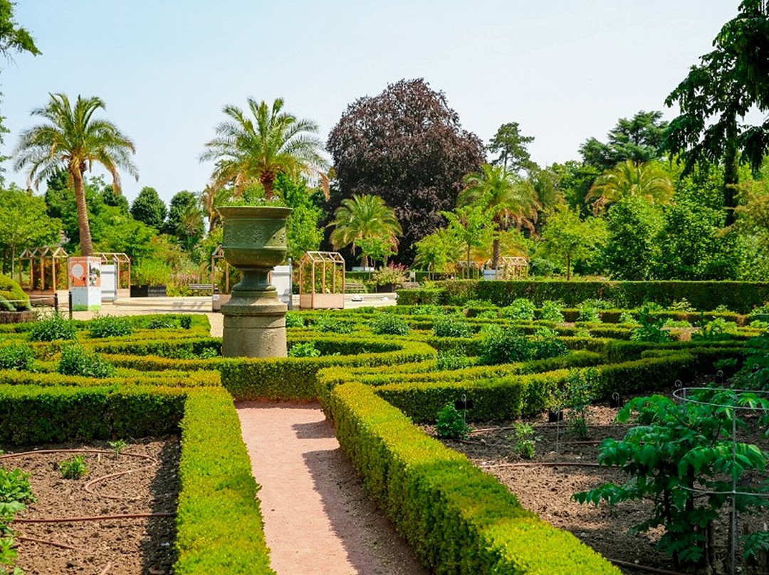 Jardin Des Plantes-鲁昂必去景点