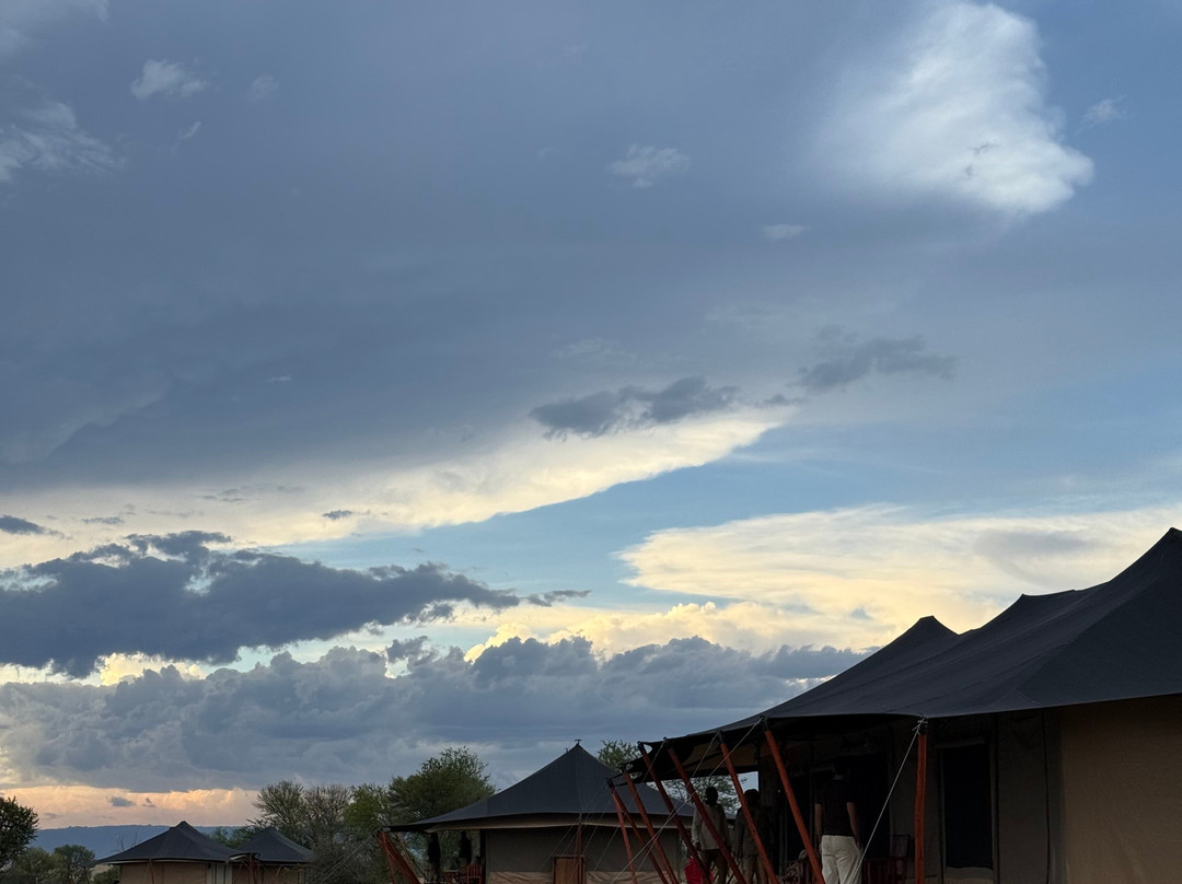 Mbuni Tented Camps-Seronera必去景点