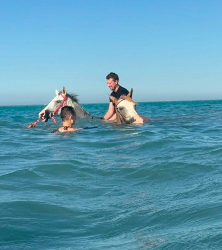 Horse Safari Hurghada-赫尔格达必去景点