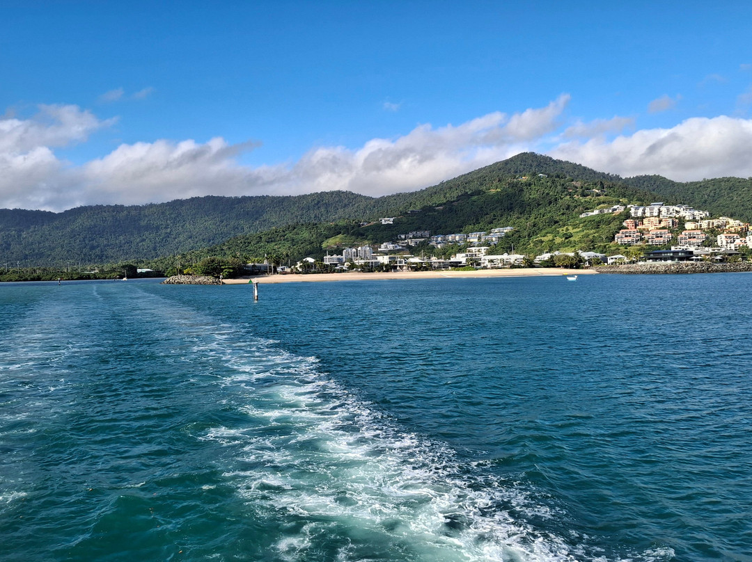 Boathaven Beach-艾尔利滩必去景点