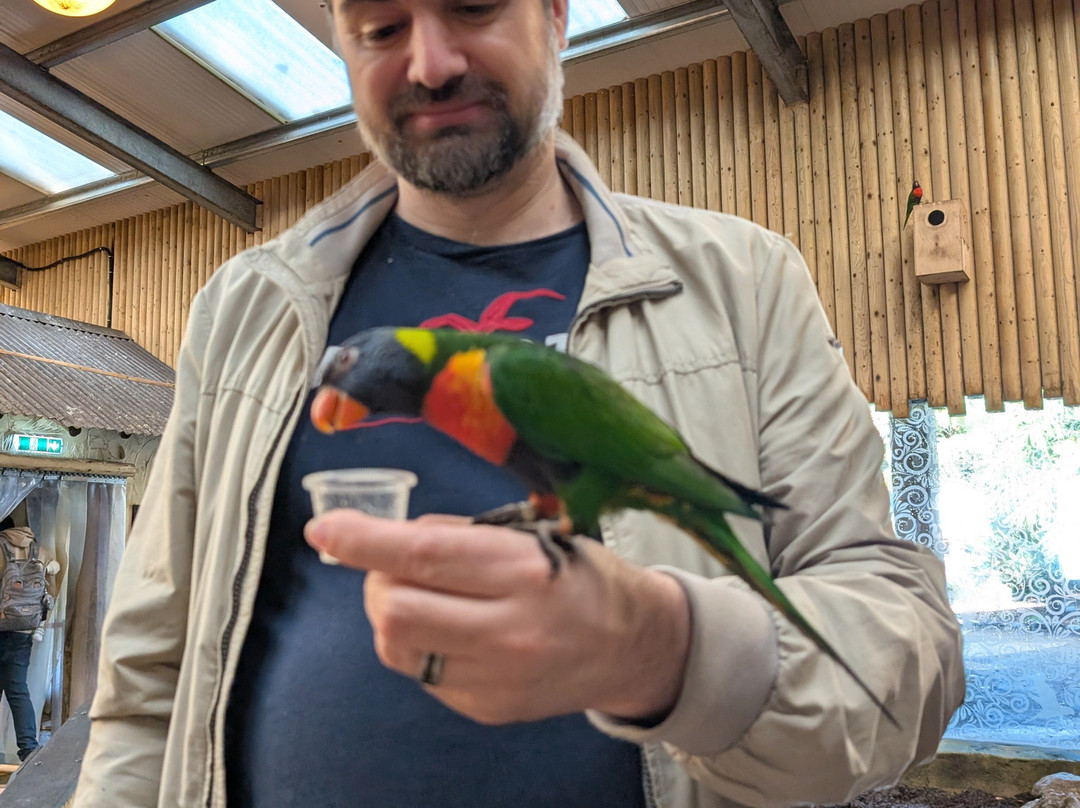 West Midlands Safari Park-Bewdley必去景点