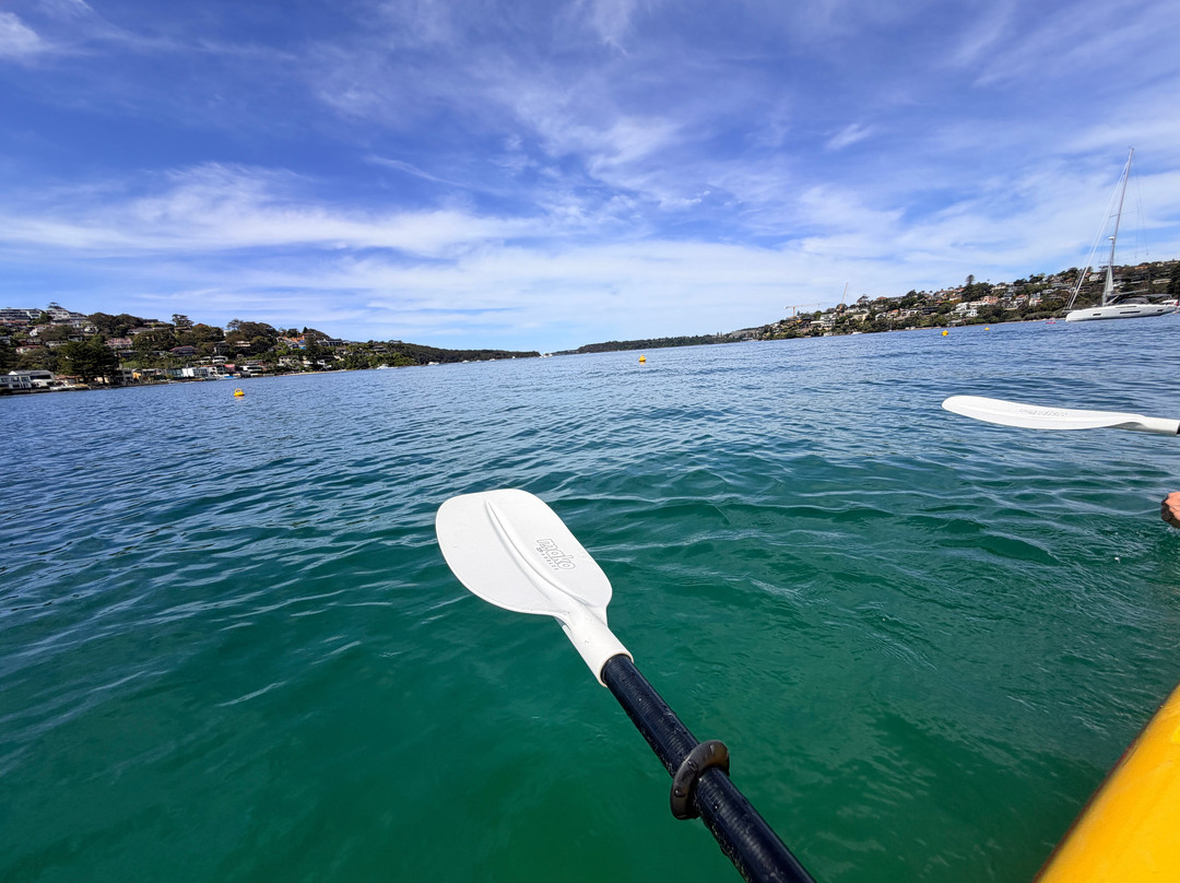 Sydney Harbour Kayaks-莫斯曼必去景点