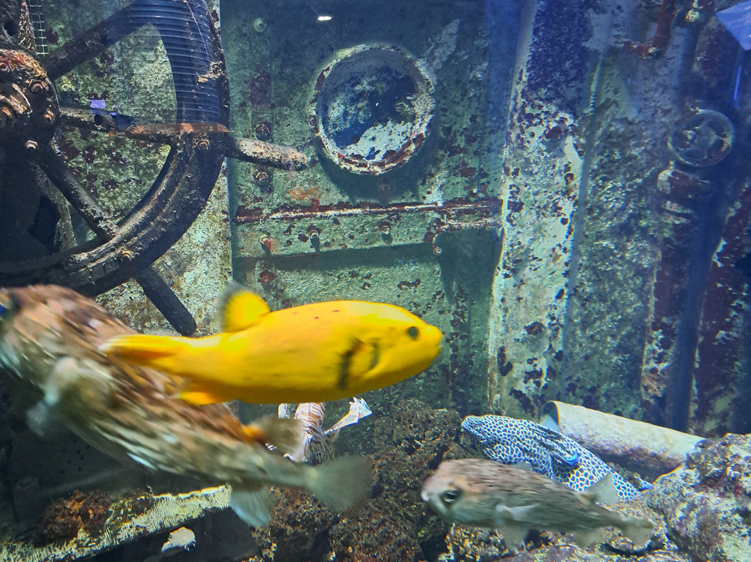 Grand Aquarium-圣马洛必去景点