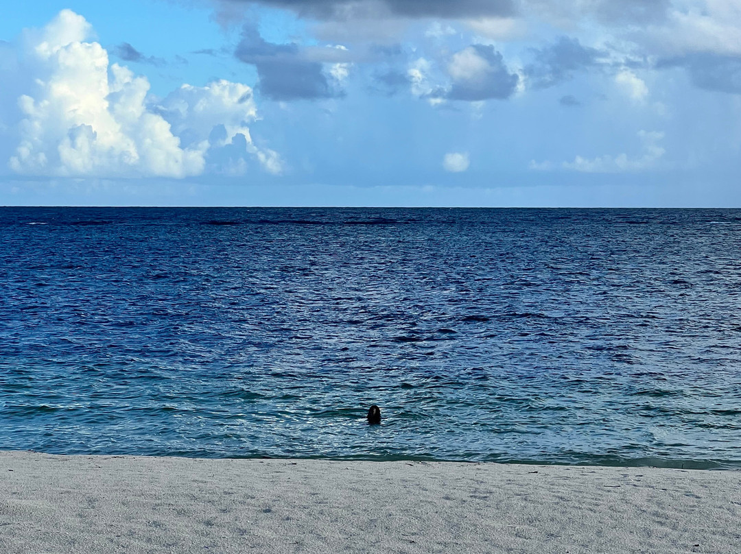 Anegada Beach Club主图