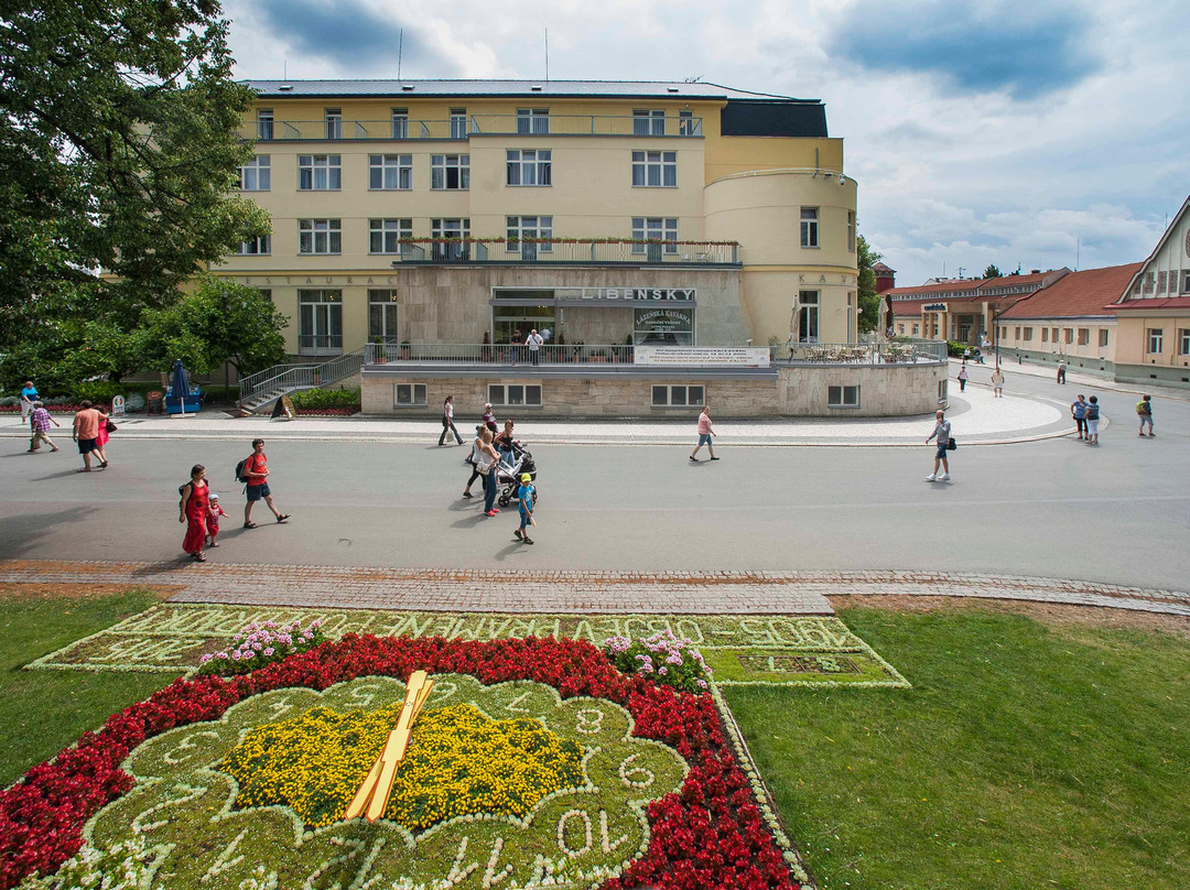 Hotel Libenský