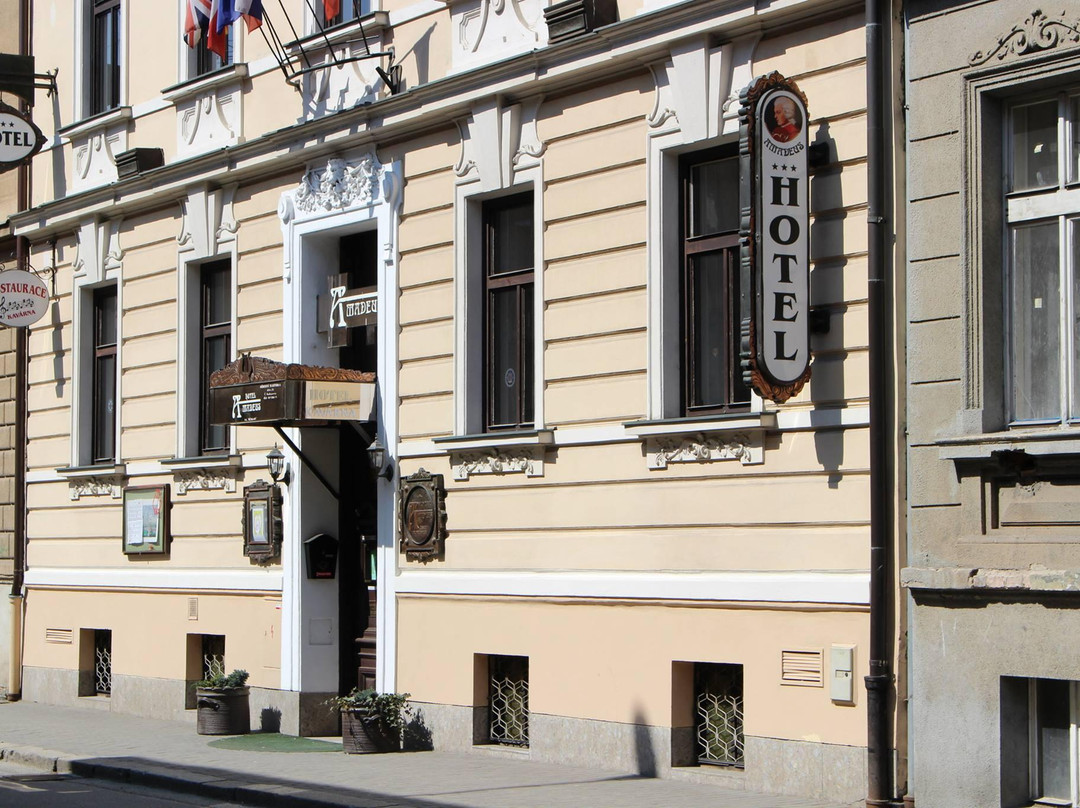 Doudleby酒店住宿-Hotel Amadeus