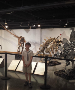 Lafayette Science Museum景点门票图片