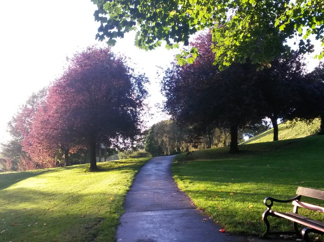 Brandon Hill Nature Park