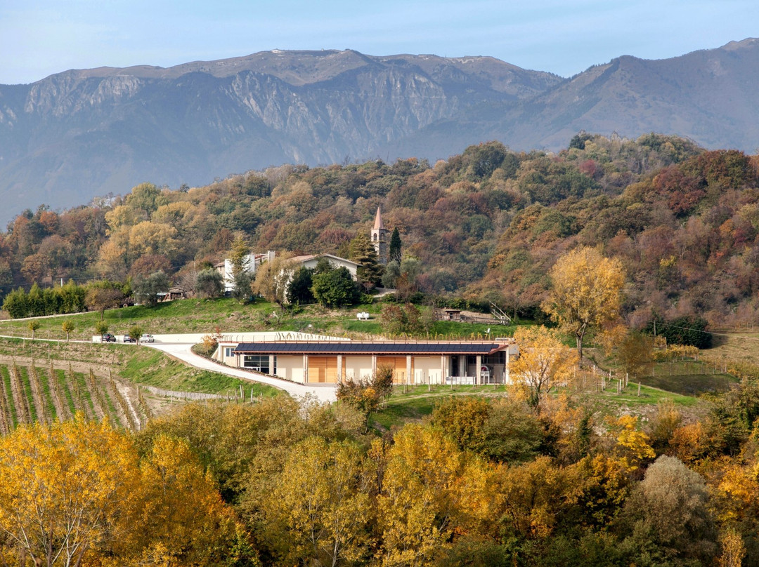 Tenuta Amadio-Monfumo必去景点