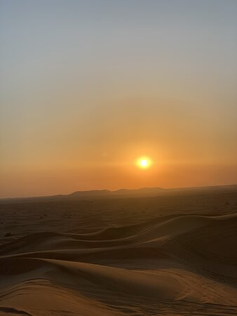 Horse Luxury Buggy Dubai-沙迦必去景点