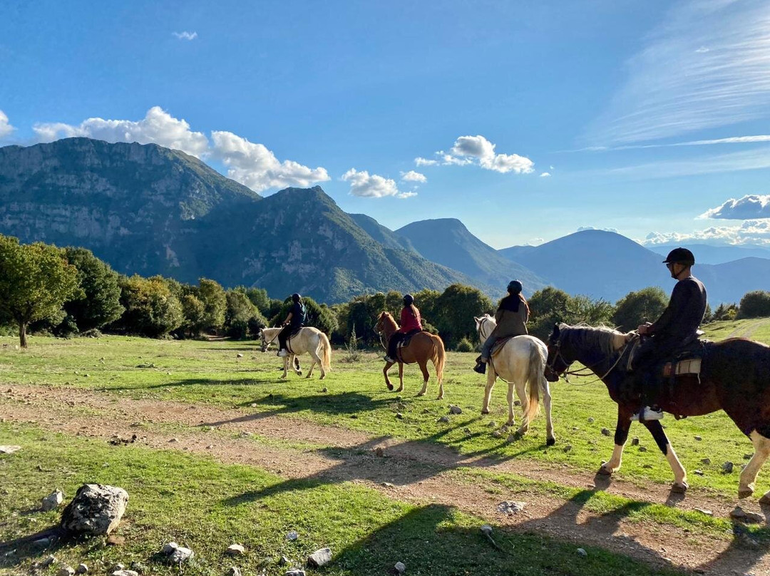 White Pegasus Horse Ride and Treks Day Tours景点图片