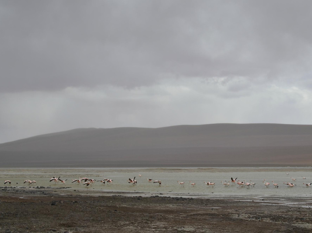 Laguna Santa Maria景点图片