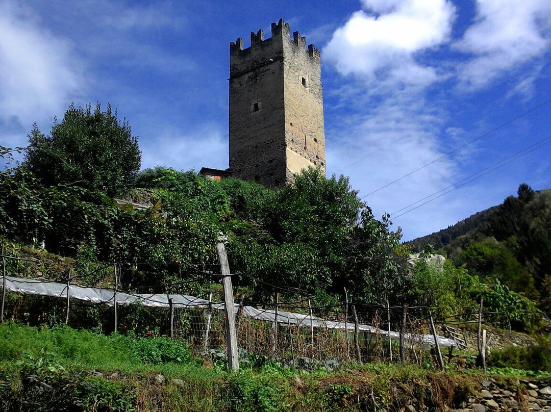 Castello di Pedenale景点图片