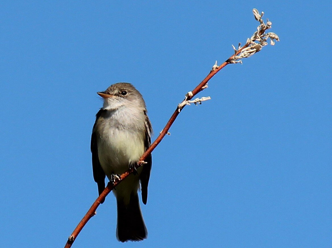 Tewaukon National Wildlife Refuge (NWR)景点图片