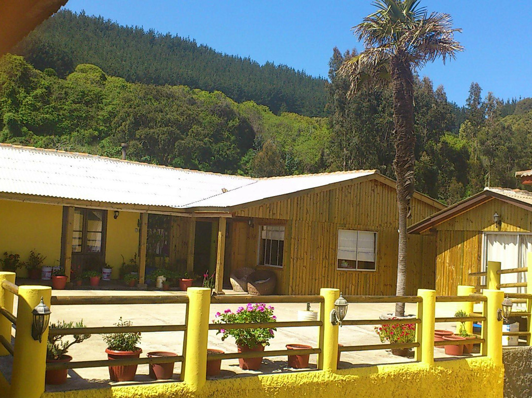 Complejo Turistico  El bosque de Lipimavida