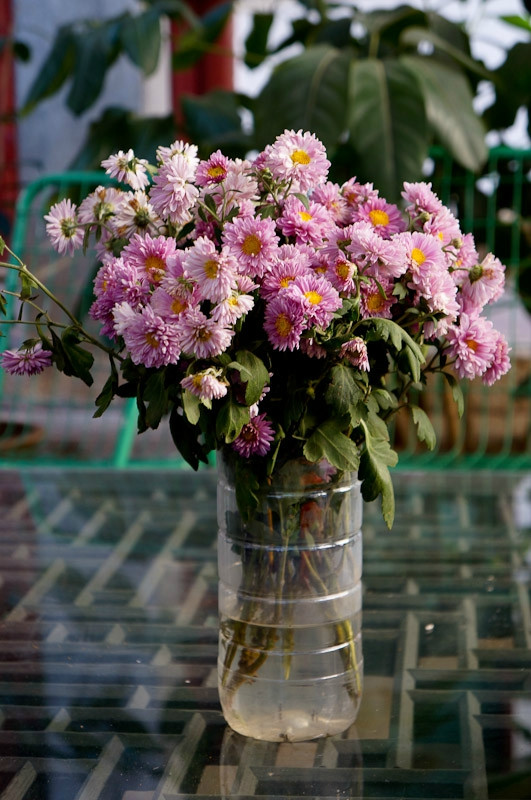 建水草芽国际青年旅舍主图