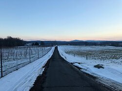 Greenhill Winery and Vineyards-Middleburg必去景点