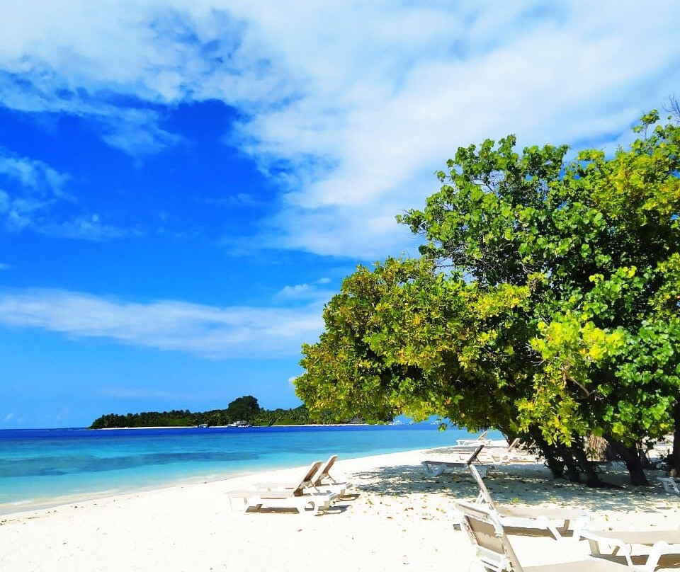 Holiday Garden Rasdhoo主图