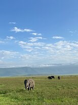 Rupia Adventure-阿鲁沙必去景点