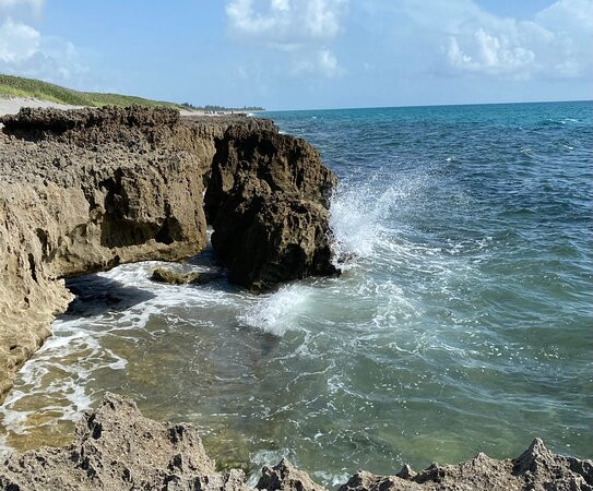 Blowing Rocks Nature Preserve-朱庇特必去景点
